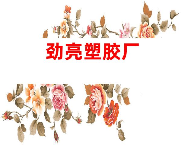劲亮塑胶厂